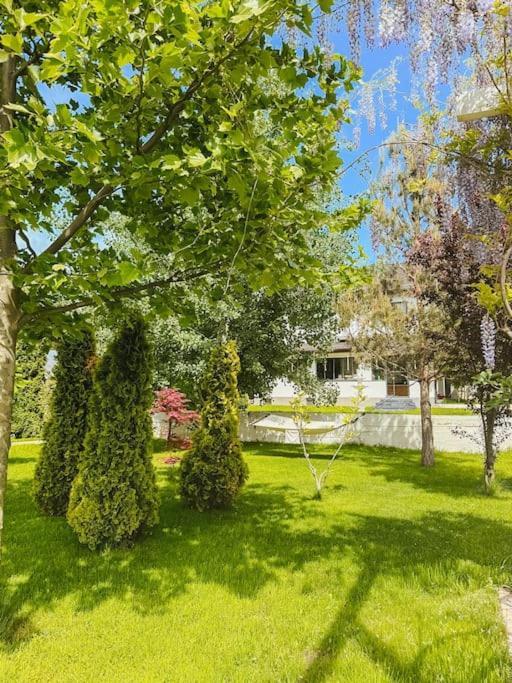 Therme - Corbeanca By The Lake Luxury Villa Exteriör bild