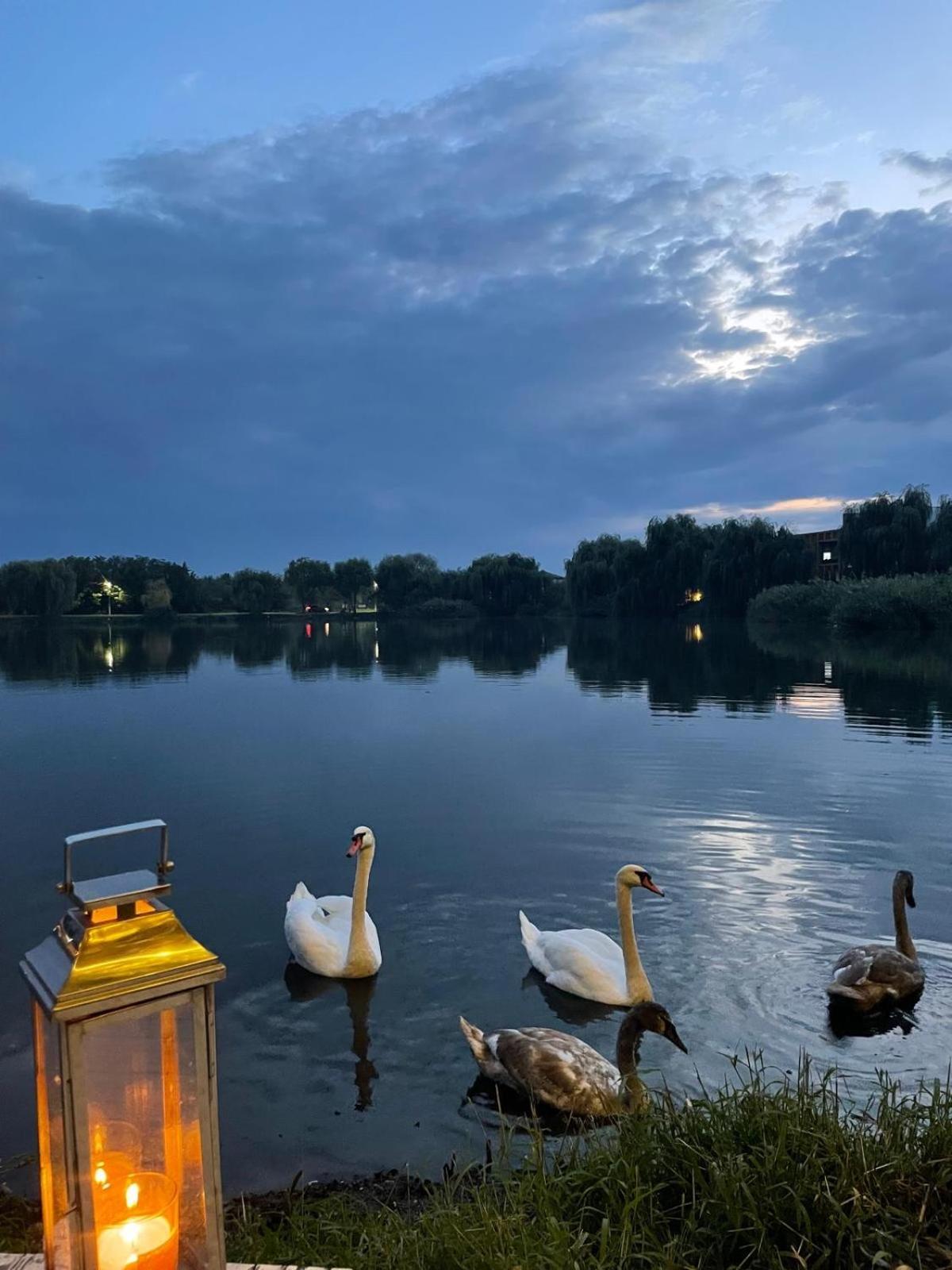 Therme - Corbeanca By The Lake Luxury Villa Exteriör bild